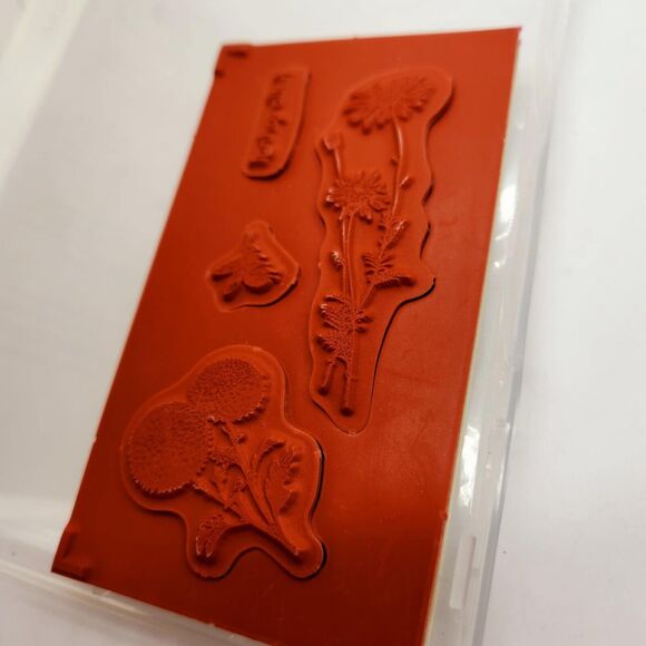 Stampin Up Springtime Hello Cling Stamp Set Unmounted Flower Floral Botanical - Picture 3 of 4